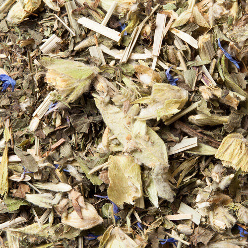 Griechischer Bergminze Bio